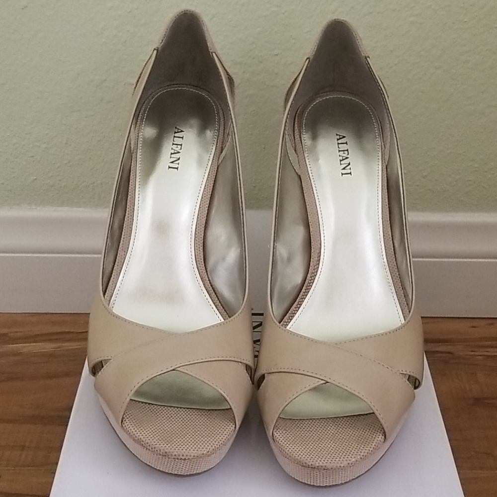 Alfani Shoes